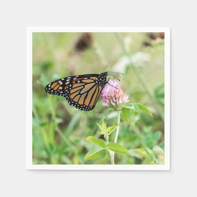 Monarch Butterfly Napkin (Front)