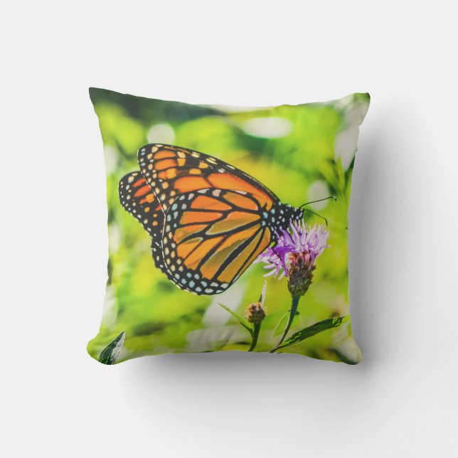 Monarch Butterfly Nature Cushion (Front)