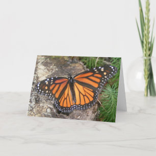 Monarch Butterfly Note Card