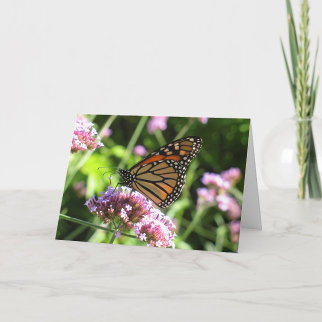 Monarch Butterfly Notecard (Front)