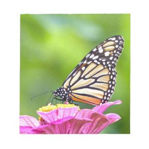 Monarch Butterfly Notepad