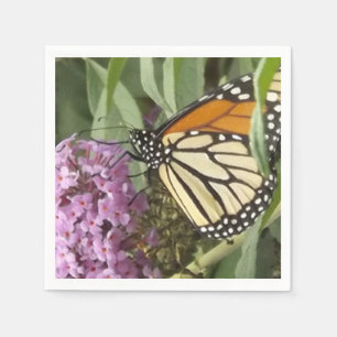 Monarch butterfly of wild flower napkins