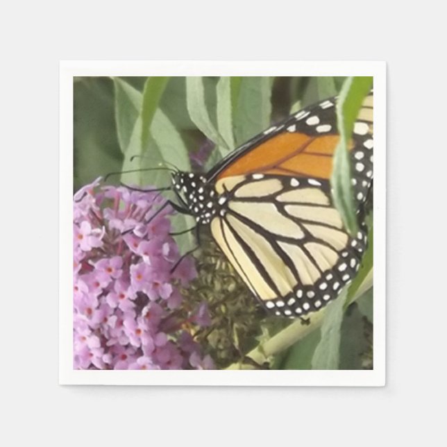 Monarch butterfly of wild flower napkins (Front)