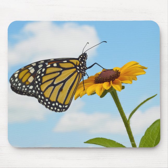 Monarch Butterfly on a Black Eyed Susan Mouse Pad (Front)