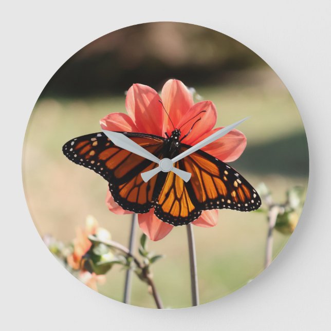 Monarch Butterfly on a Dahlia Large Clock (Front)