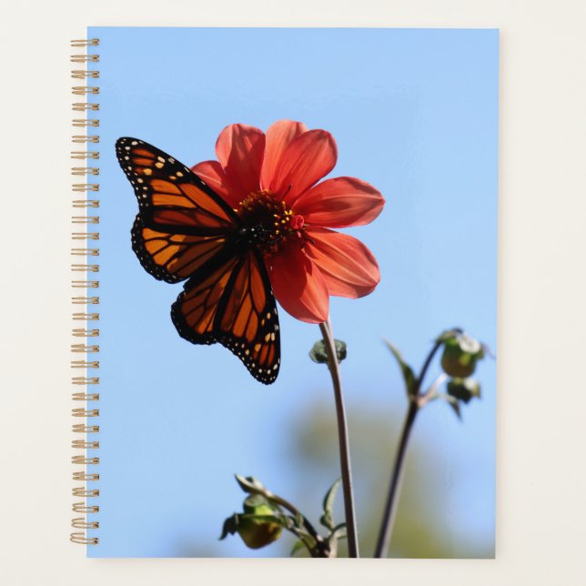 Monarch Butterfly on a Dahlia Planner (Front)