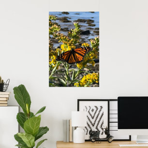 Monarch Butterfly on a Flower by the Water Nature Poster