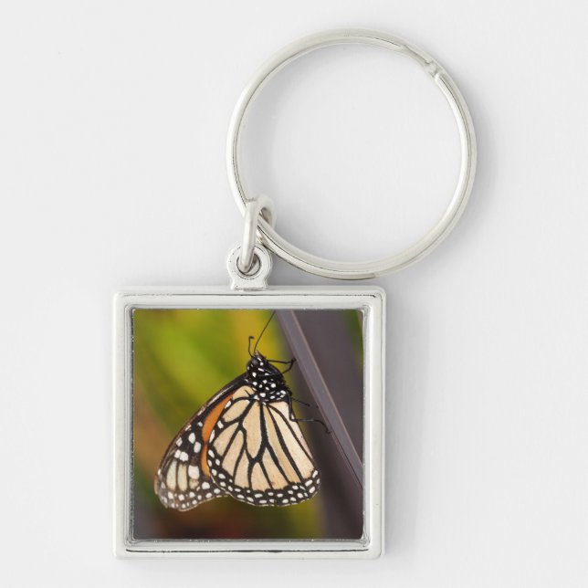Monarch Butterfly on Agave Key Ring (Front)