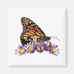Monarch Butterfly on Aster Magnet