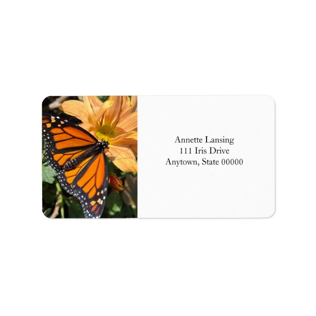 Monarch butterfly on chrysanthemum flower label (Front)