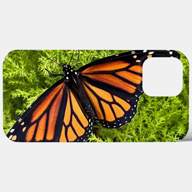 Monarch butterfly on cypress Case-Mate iPhone case (Back (Horizontal))