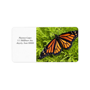 Monarch butterfly on cypress plant label