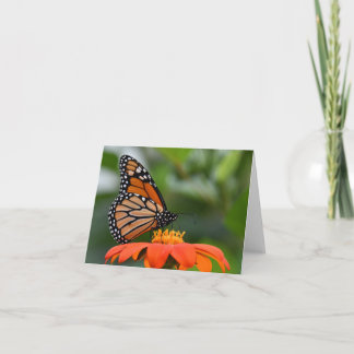 Monarch Butterfly on Flower Card