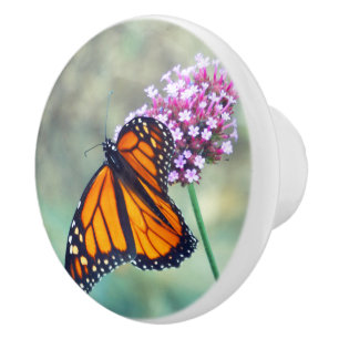 MONARCH BUTTERFLY ON FLOWER CERAMIC KNOB