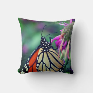 Monarch Butterfly On Flower Close Up Cushion