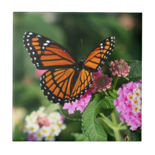 Monarch Butterfly on Lantana Flowers.Ceramic  Tile
