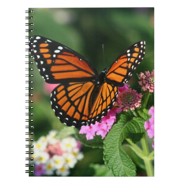 Monarch Butterfly on Lantana Flowers.Notebook Spiral Notebook (Front)