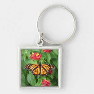 Monarch Butterfly on Lantana Key Ring