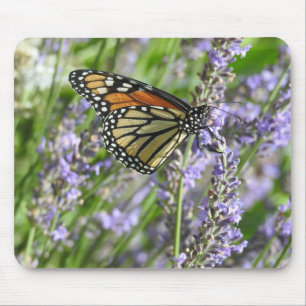 Monarch Butterfly on Lavender Flowers Mouse Pad