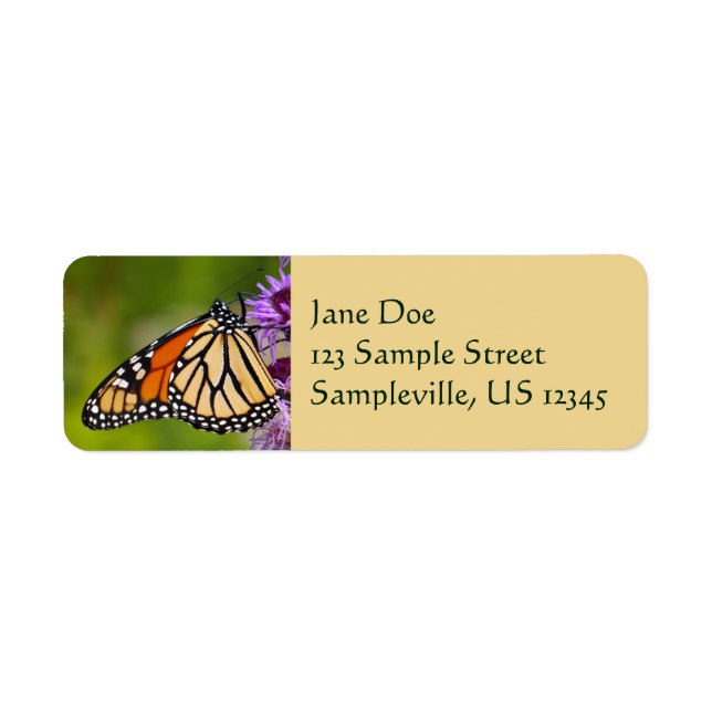Monarch Butterfly on Liatris (Front)