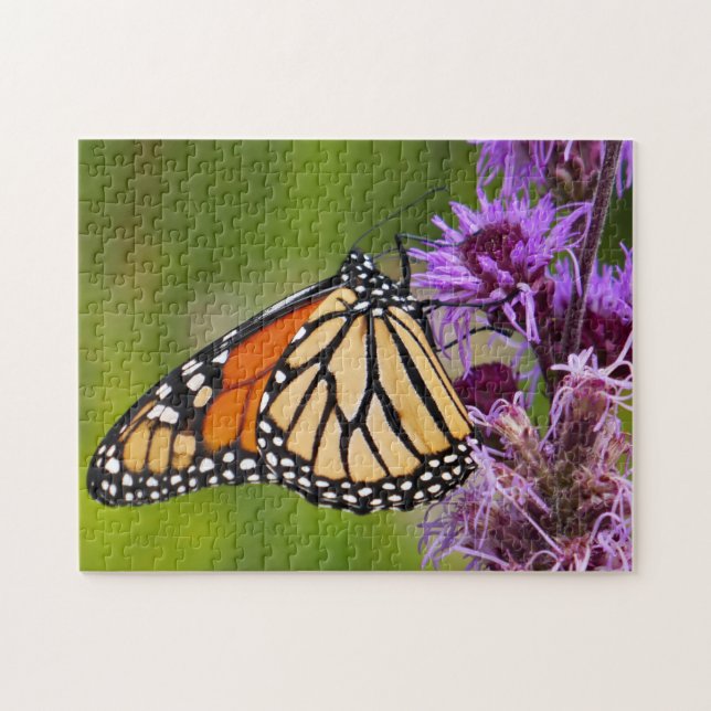 Monarch Butterfly on Liatris Jigsaw Puzzle (Horizontal)