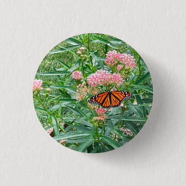 Monarch Butterfly on Milkweed   3 Cm Round Badge (Front)