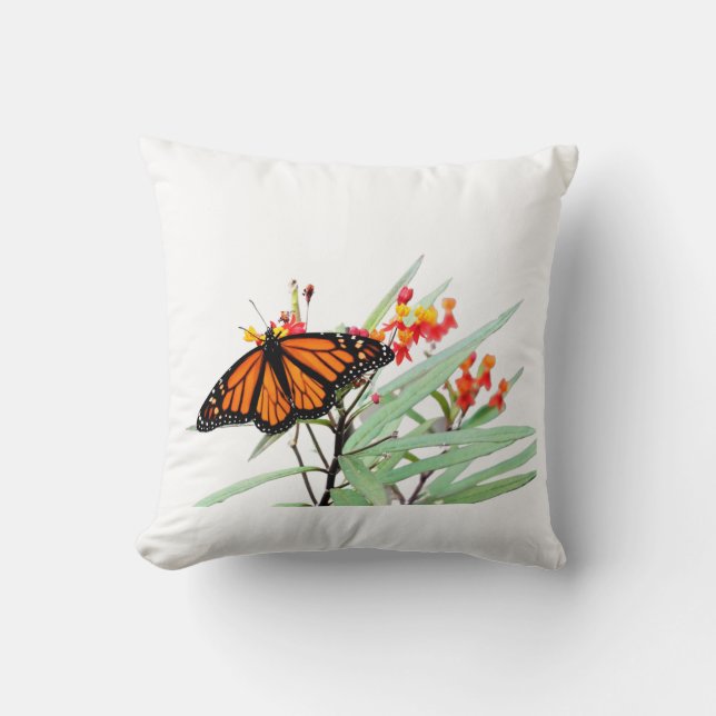 Monarch Butterfly on Milkweed Blooms, White Cushion (Front)