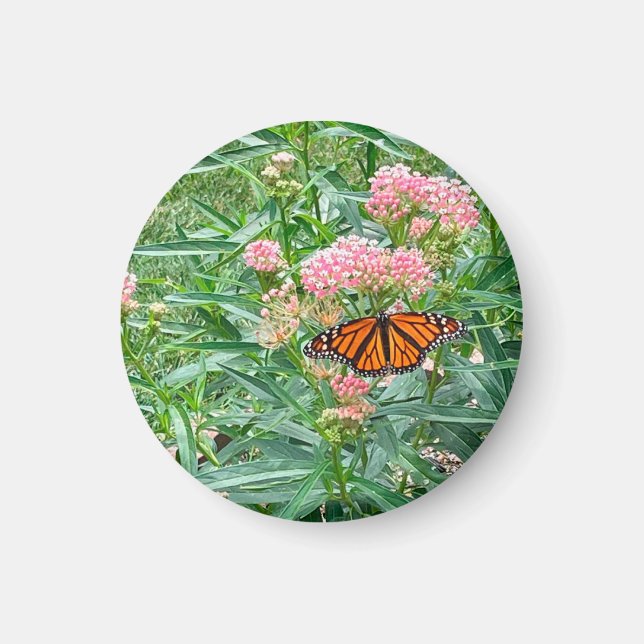 Monarch Butterfly on Milkweed  Magnet (Front)
