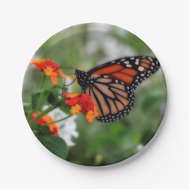 Monarch Butterfly on Orange and Red Lantana Paper Plate (Front)
