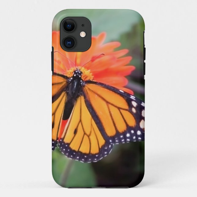Monarch butterfly on orange flower Case-Mate iPhone case (Back)