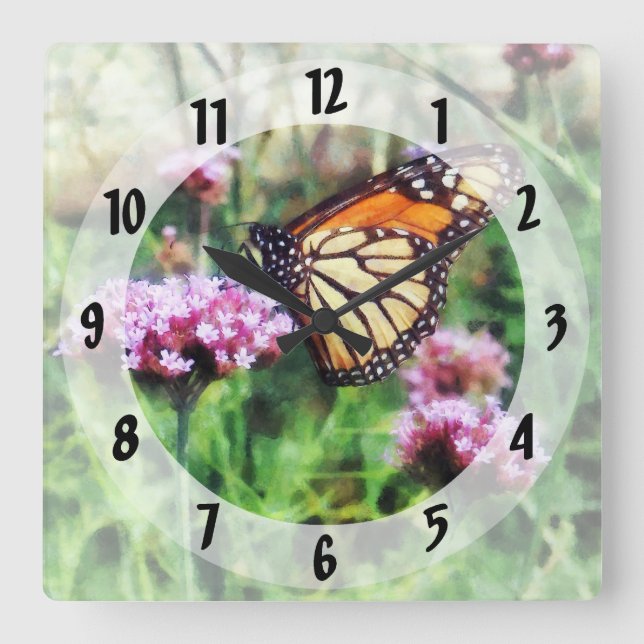 Monarch Butterfly on Pink Lantana Square Wall Clock (Front)