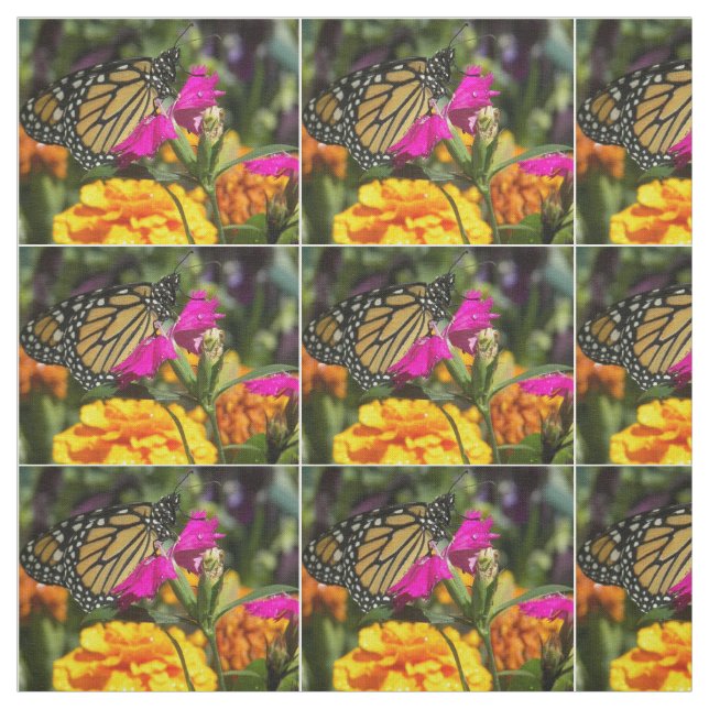Monarch Butterfly on pink marigold Fabric (Swatch)
