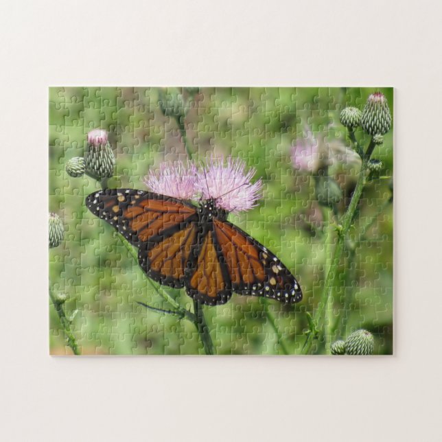 Monarch Butterfly on Pink Thistle Jigsaw Puzzle (Horizontal)