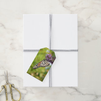 Monarch Butterfly on Purple Butterfly Bush Gift Tags