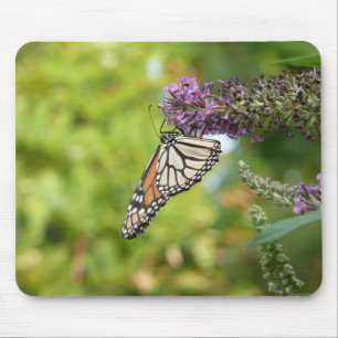 Monarch Butterfly on Purple Butterfly Bush Mouse Pad