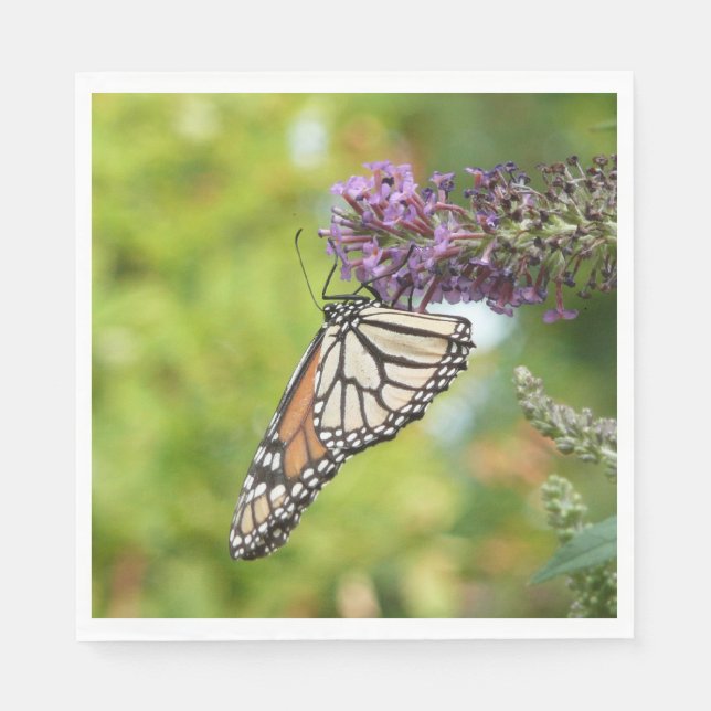 Monarch Butterfly on Purple Butterfly Bush Napkin (Front)