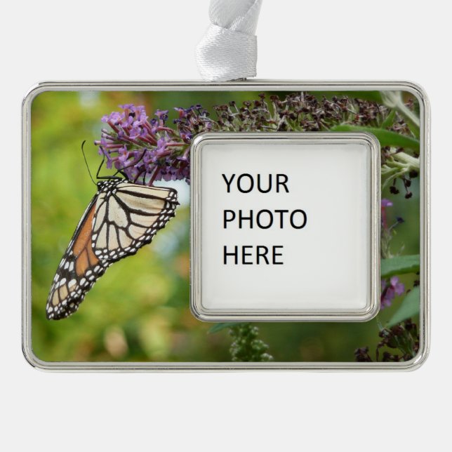 Monarch Butterfly on Purple Butterfly Bush Silver Plated Framed Ornament (Front)