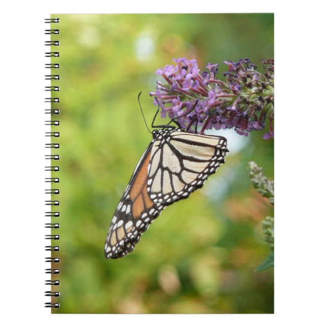 Monarch Butterfly on Purple Butterfly Bush Spiral Notebook (Front)