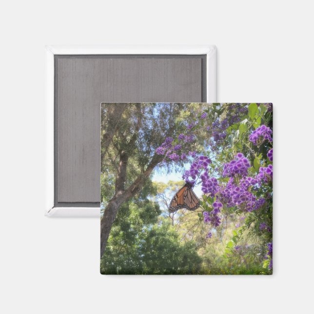 Monarch Butterfly on Purple Flowers Magnet (Front/Back)