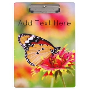 Monarch Butterfly on Red and Yellow Flower Clipboard