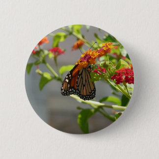 Monarch Butterfly on Red Butterfly Bush 6 Cm Round Badge