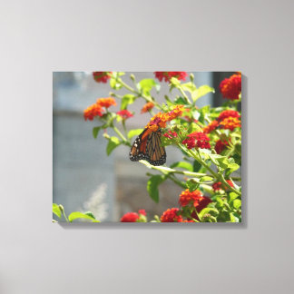 Monarch Butterfly on Red Butterfly Bush Canvas Print
