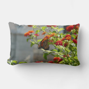 Monarch Butterfly on Red Butterfly Bush Lumbar Cushion
