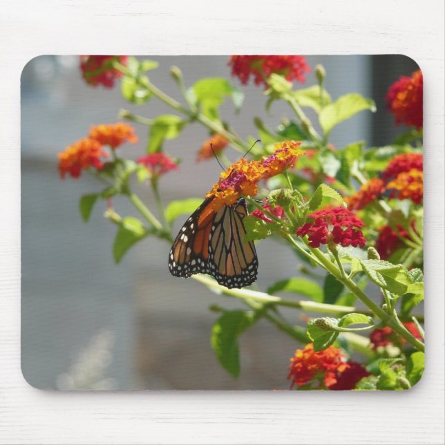 Monarch Butterfly on Red Butterfly Bush Mouse Pad (Front)