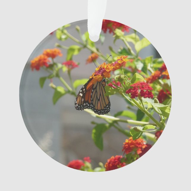 Monarch Butterfly on Red Butterfly Bush Ornament (Front)