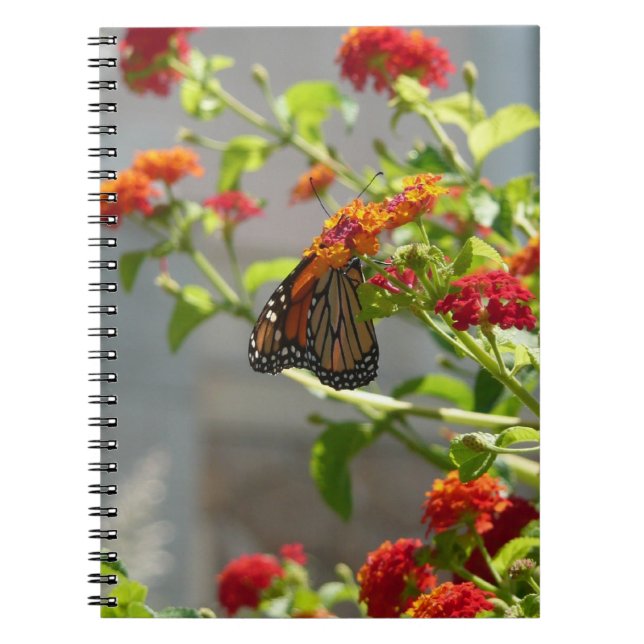 Monarch Butterfly on Red Butterfly Bush Spiral Notebook (Front)