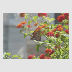 Monarch Butterfly on Red Butterfly Bush Tissue Paper