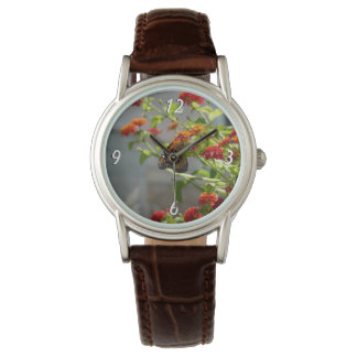 Monarch Butterfly on Red Butterfly Bush Watch