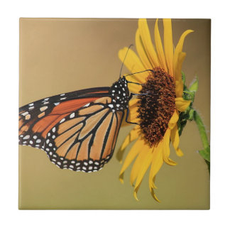 Monarch Butterfly on Sunflower Tile