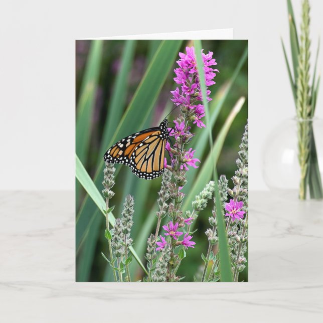 Monarch butterfly on wildflower card (Front)